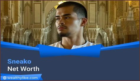 SNEAKO Net Worth and Earnings